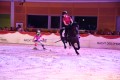 Show Nacht der Pferde